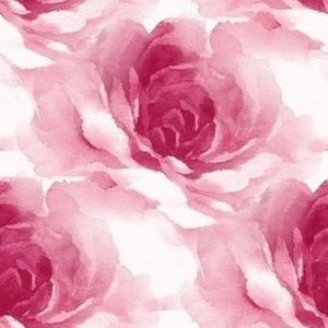 Meet your Posher, Lizbeth